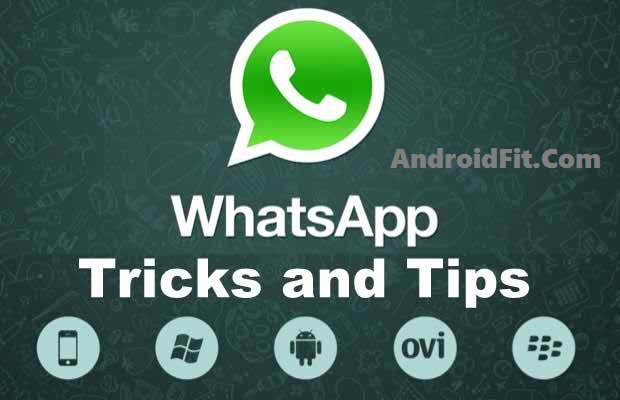 10 Latest WhatsApp Tips and Tricks You Should Know