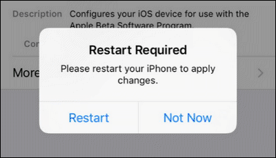 Install the iOS 10 Beta on iPhone or iPad (2)