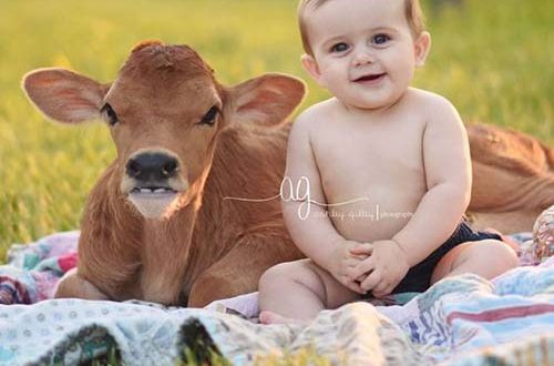 55+ Cute Babies Images For Facebook / Whatsapp DP |