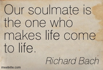 Wishes of the soulmate 