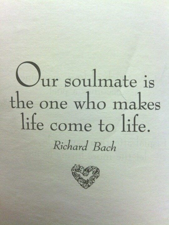 Wishes of the soulmate 