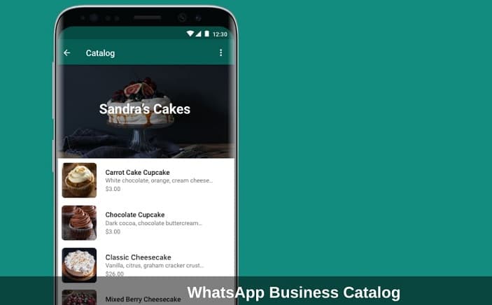 What is Whatsapp Catalog, How to Create Catalog? 2022