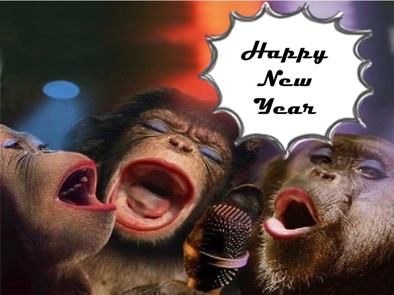 Happy new year 2023 funny monkey hd