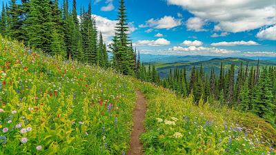 Landscape, mountains, path, trees, flowers, grass

 + Download Wallpapers