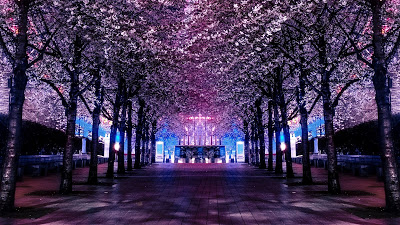 Ferris Wheel Cherry Blossom Tree Wallpaper

 + Download Wallpapers