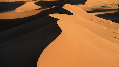 Desert wallpaper, dune, sand, nature

 + Download Wallpapers