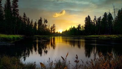Evening, Lake, Trees, Sunset, Dusk, Landscape

 + Download Wallpapers