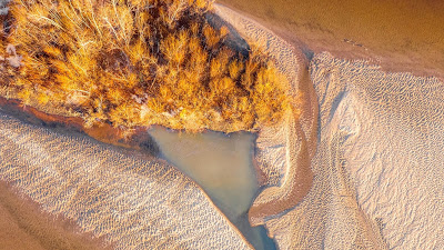 Island, Aerial view, River, Sand, Trees

 + Download Wallpapers