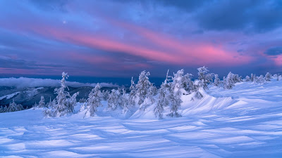 Wallpaper Winter, Landscape, Snow, Trees, Dusk

 + Download Wallpapers