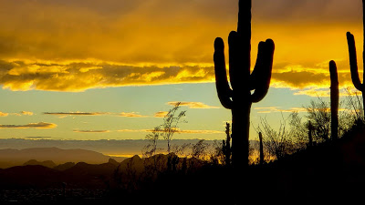 HD wallpaper cacti, Evening, Sunset, Desert

 + Download Wallpapers