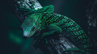 Green lizard wallpaper HD

 + Download Wallpapers