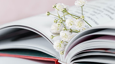 Gypsophila flower wallpaper on book

 + Download Wallpapers