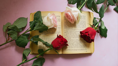 Roses flowers on book wallpaper

 + Download Wallpapers