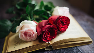 Books and flowers wallpaper

 + Download Wallpapers