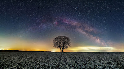 Wallpaper only of the tree of our galaxy at night

 + Download Wallpapers