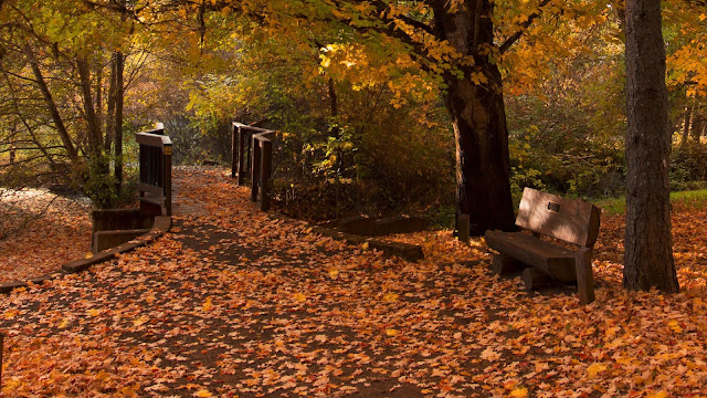 Beautiful autumn park background+ Wallpapers Download