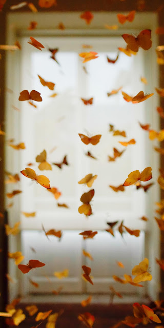 Wallpaper for iphone Room Butterfly+ Wallpapers Download