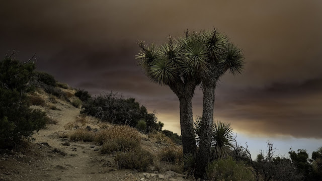 Desert Storm Clouds Screen Background+ Wallpapers Download