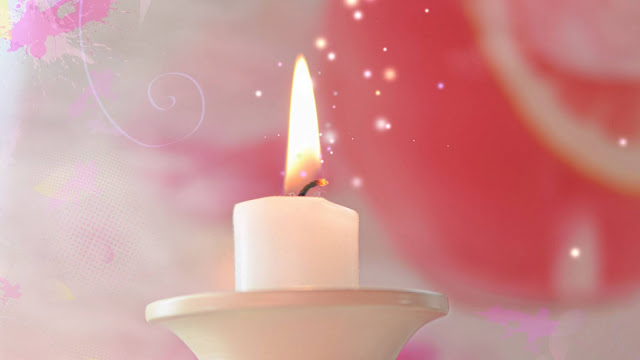 Pink candle flower background+ Wallpapers Download