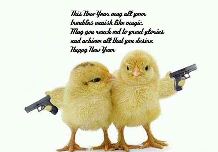 funny happy new year picture 2022