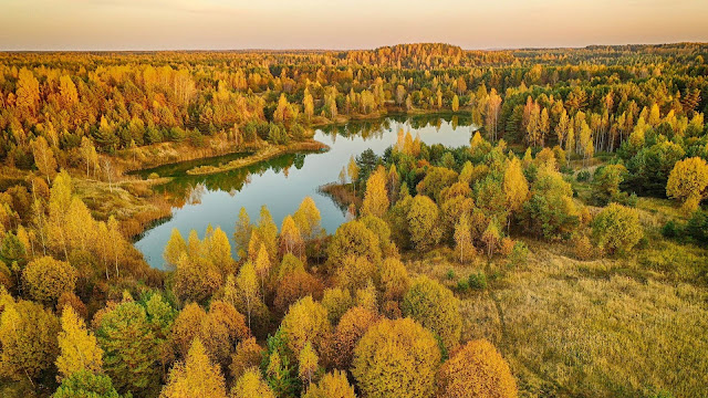 Desktop wallpaper autumn, forest, lake, backdrop+ Wallpapers Download