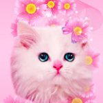 Pink cute wallpaper for girls phone 1.jpg