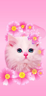Pink Cute Wallpaper For Girls Phone + Wallpapers Download 2023