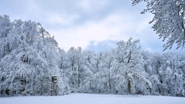 december zoom virtual backgrounds cold frost snowy background