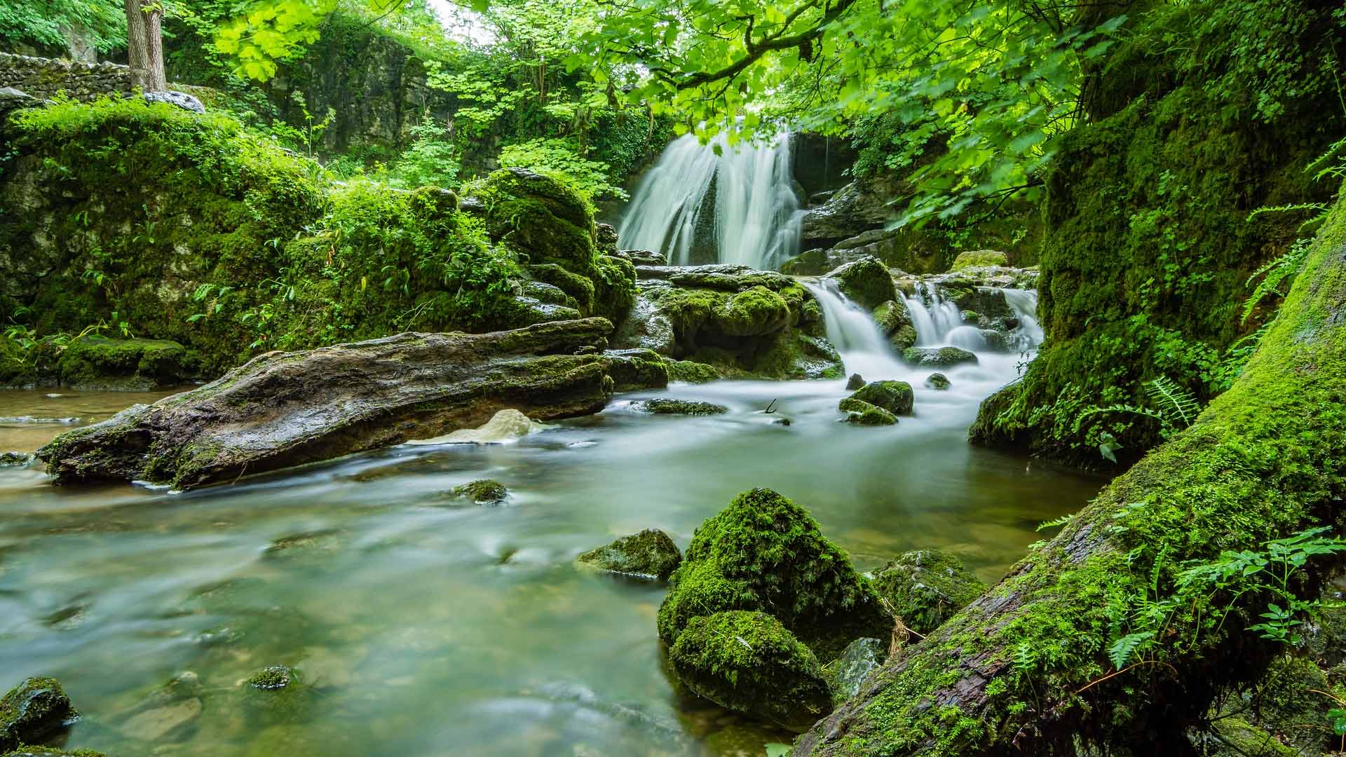 Waterfall beautiful nature wallpaper desktop laptop background images 2023