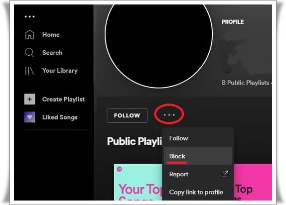 Spotify Follower Blocking