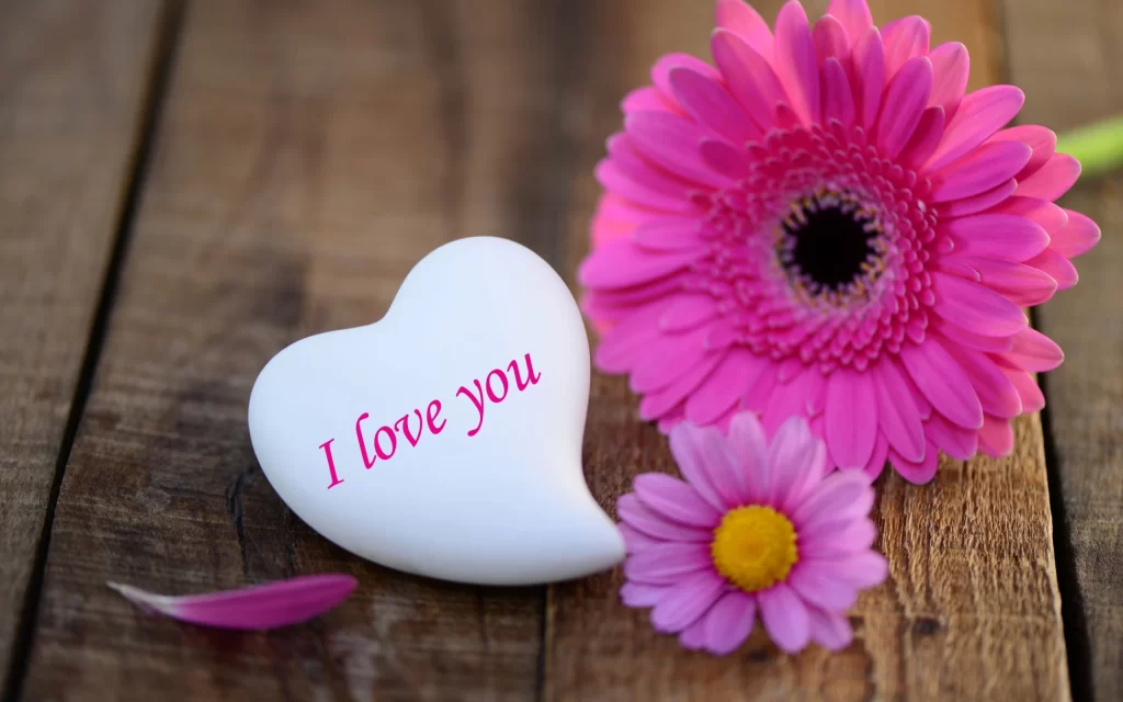 Pink daisies heart stone i love you wide wallpaper pink daisies heart stone i love you wide wallpaper