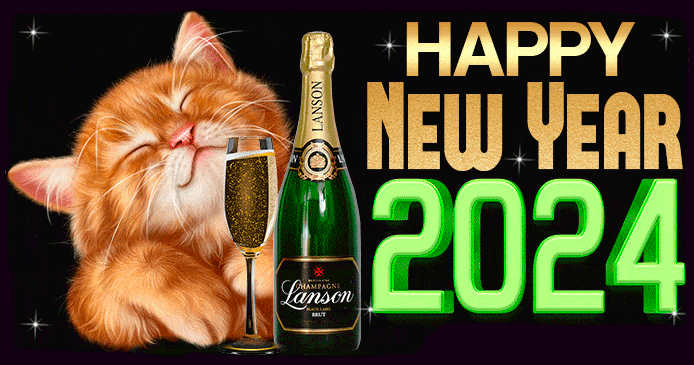 2024 funny happy new year gif