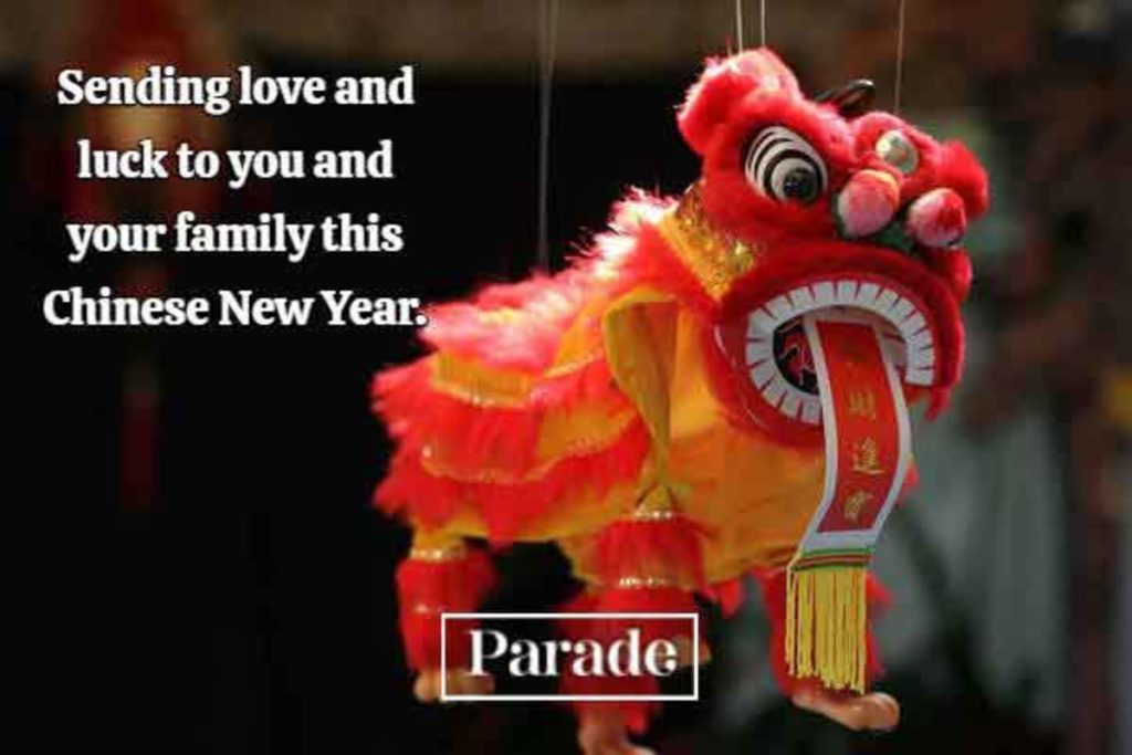 Chinese new year wishes dragon decoration