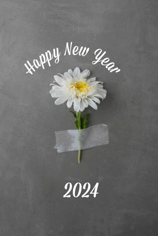Happy new year 2024 wallpaper iphone