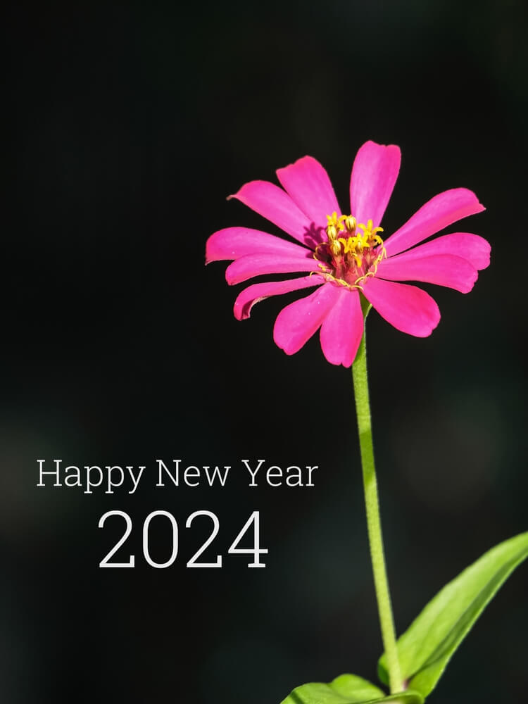 Iphone cute new year wallpaper 2024