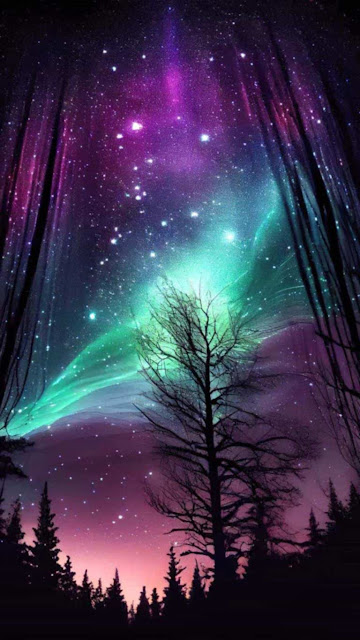Download wallpaper 750x1334 northern lights aurora borealis night  canada iphone 7 iphone 8 750x1334 hd background 502