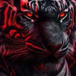 The tiger iphone wallpaper hd 768x1365.jpg