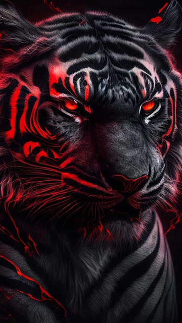 3d Background Images Tiger - Wallpaper Cave