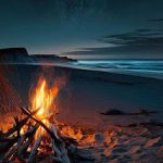 Beach night bonfire iphone wallpaper hd 768x1365.jpg