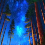 Night forest starry sky iphone wallpaper hd 768x1365.jpg