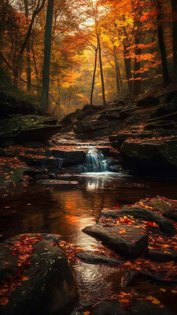 Autumn Waterfall iPhone Wallpaper – Wallpapers Download