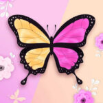 Butterfly hd.jpg