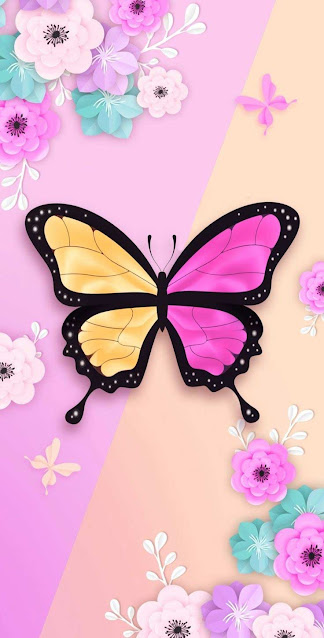 BUTTERFLY, Pink, Yellow, iPhone, HD Phone Wallpaper – Wallpapers Download