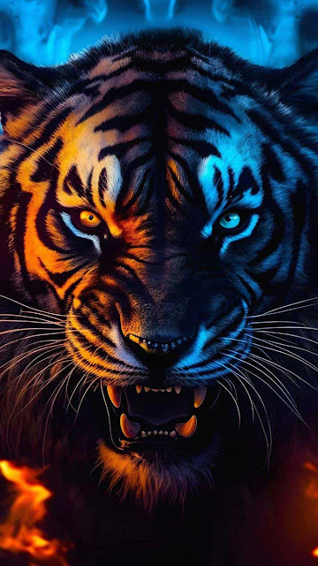 Tiger iPhone Wallpaper – Wallpapers Download