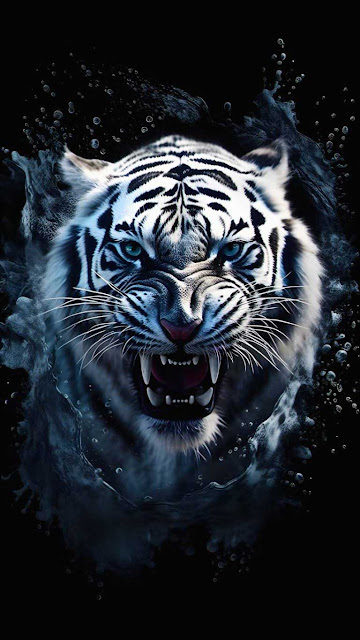 White Tiger Angry iPhone Wallpaper – Wallpapers Download