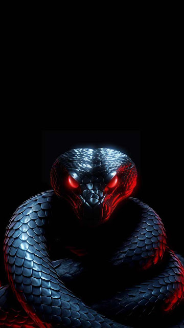 Black snake iphone wallpaper 4k.jpg
