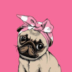 Pug illustration pink cute wallpaper.jpg