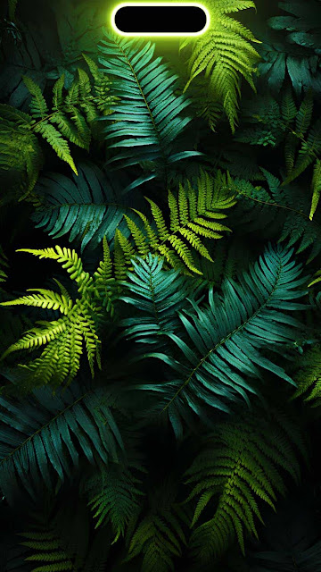 Dynamic Island Foliage iPhone Wallpaper 4K – Wallpapers Download