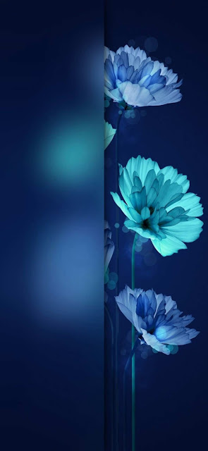 Flower rose plant blue iphone wallpaper.jpg