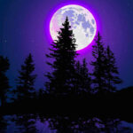 Moon glow in night iphone wallpaper.jpg